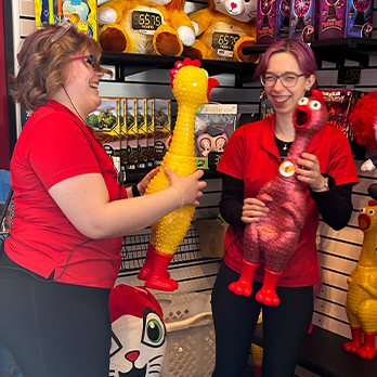 arcade prizes